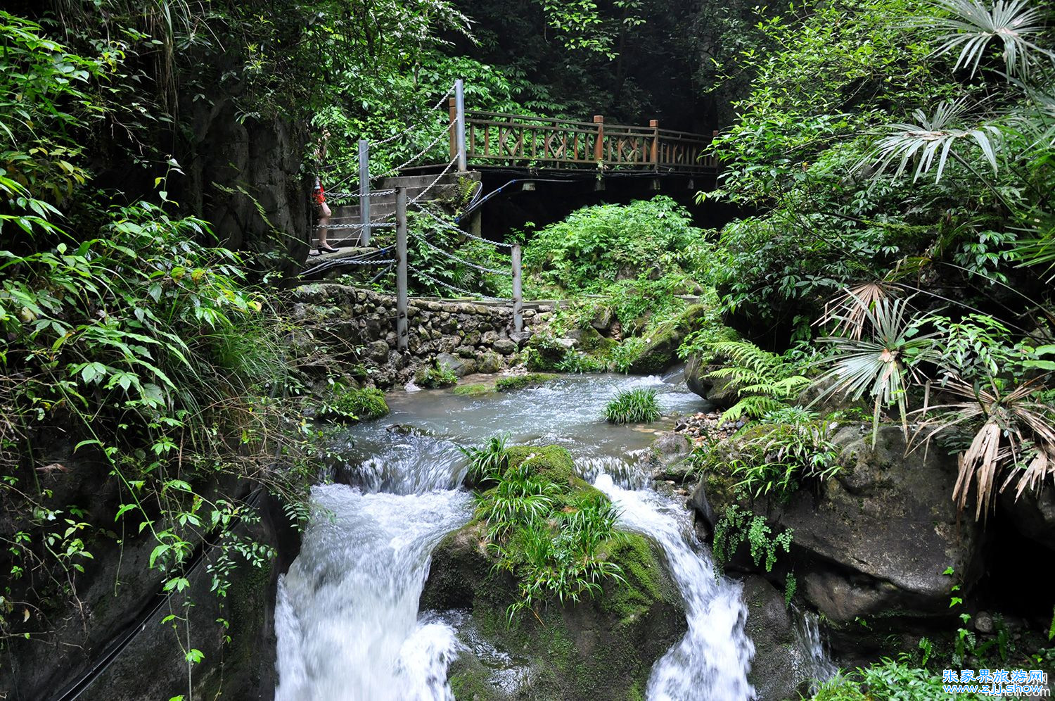 天气渐热，消夏避暑哪里去？恒温19度张家界地缝告诉你答案