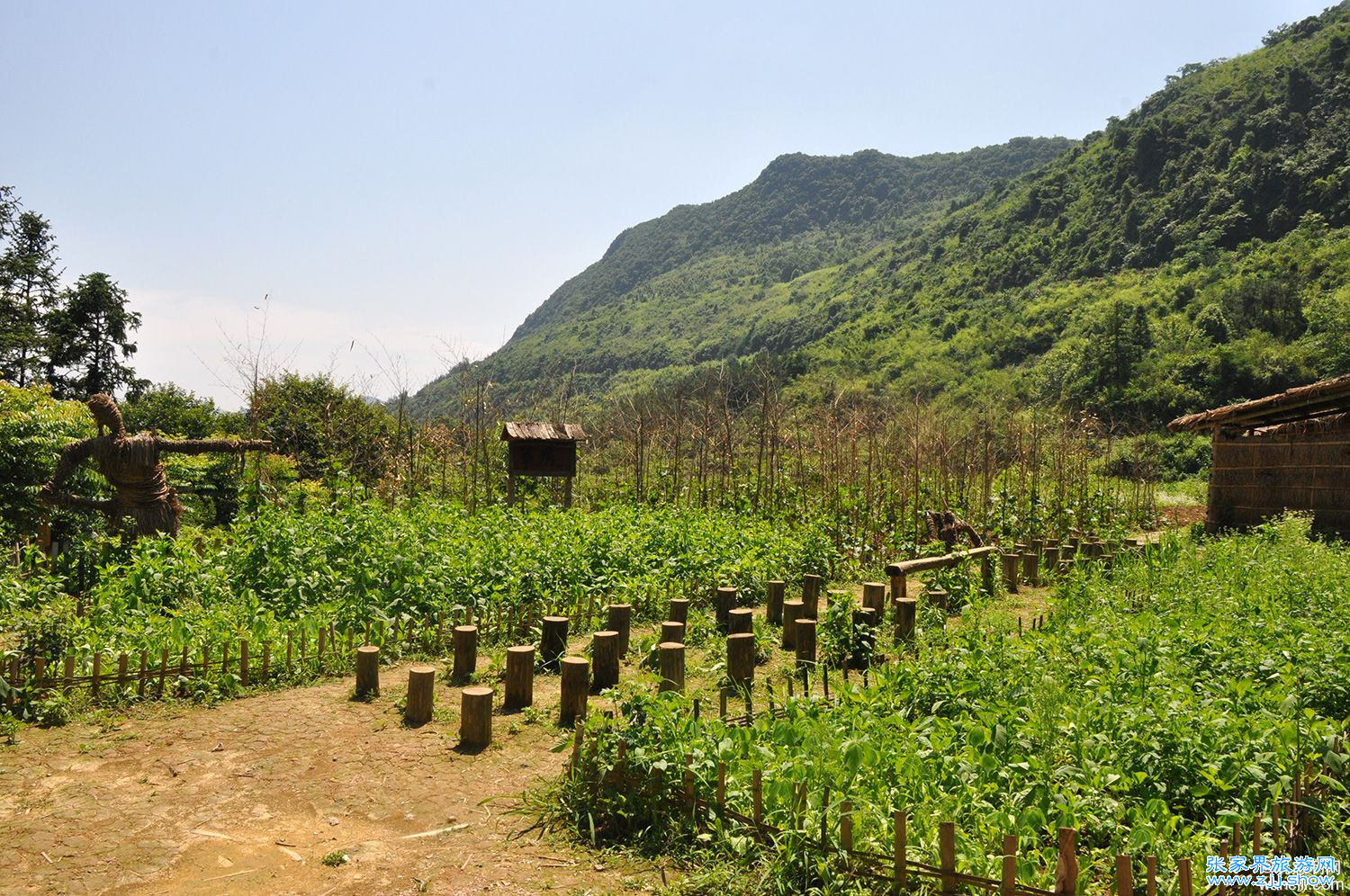 天气渐热，消夏避暑哪里去？恒温19度张家界地缝告诉你答案