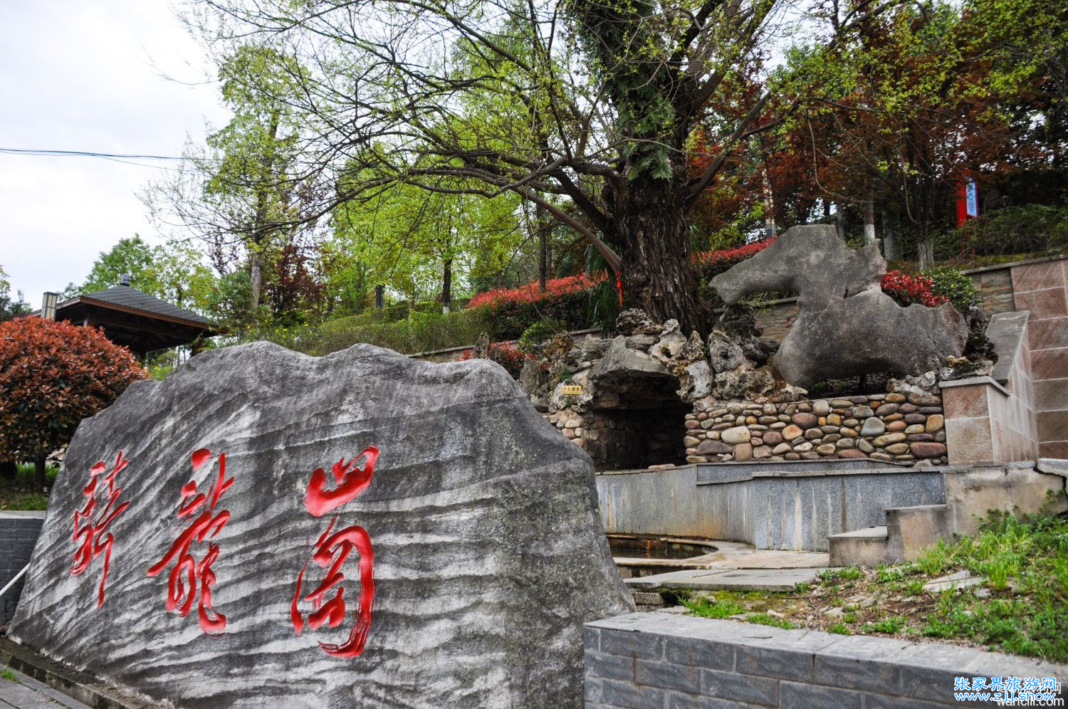 慈利县工业集中区的路边上，有个骑龙岗古水井
