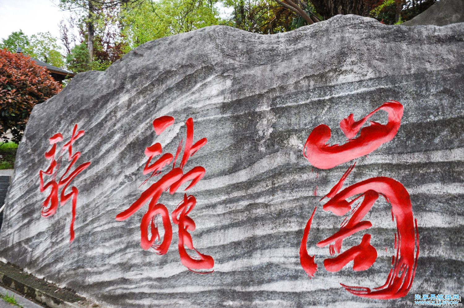 慈利县工业集中区的路边上，有个骑龙岗古水井